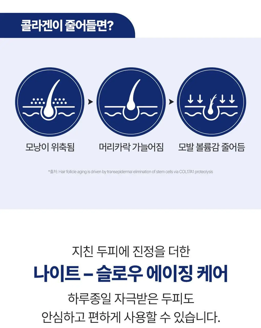 [백호PICK]트리셀 데이/나이트 콜라겐 샴푸 증정 기획 (360ml+120ml) 택 1 상세페이지 11